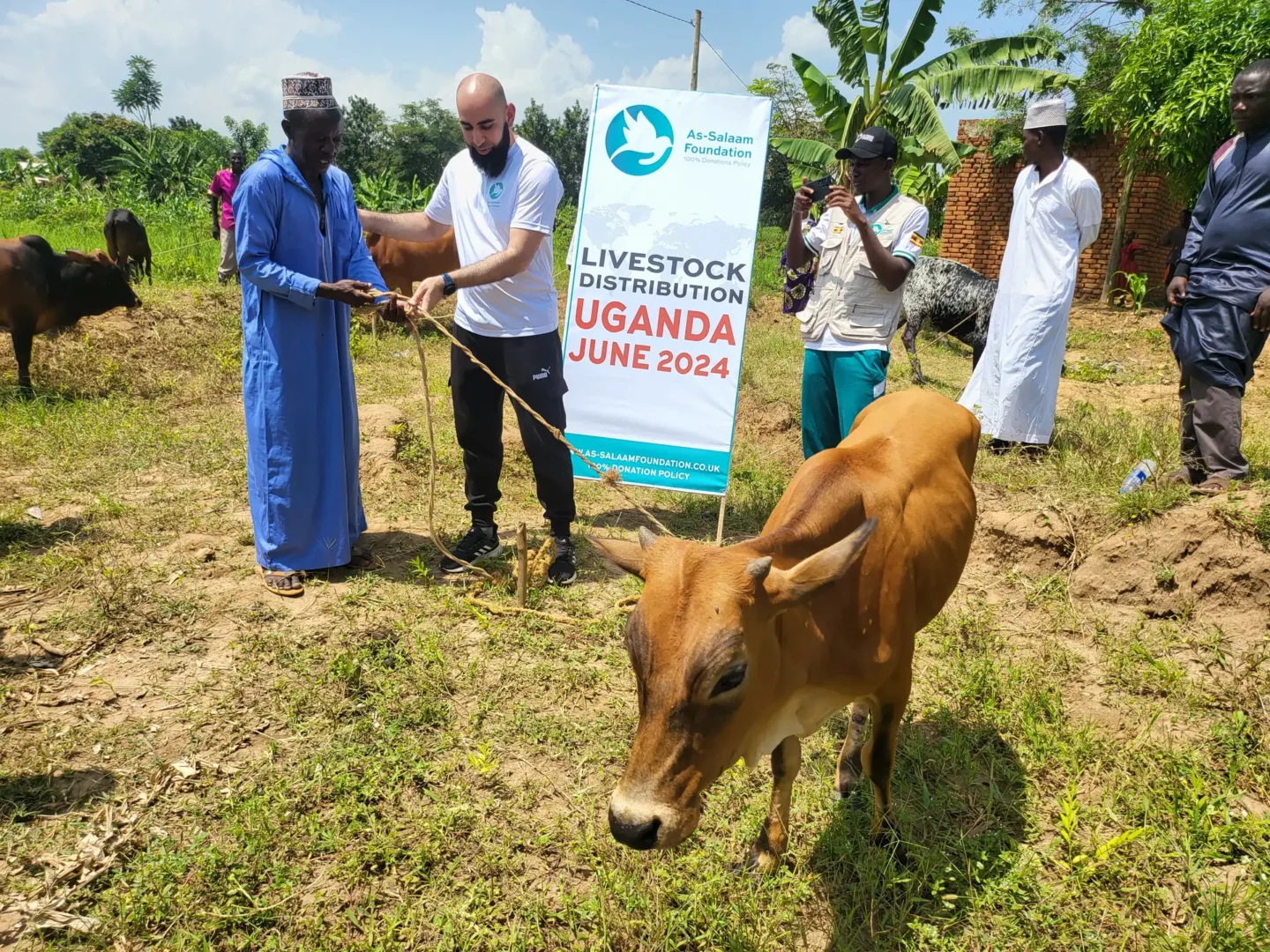 Gohar helping in the livestock distribution project